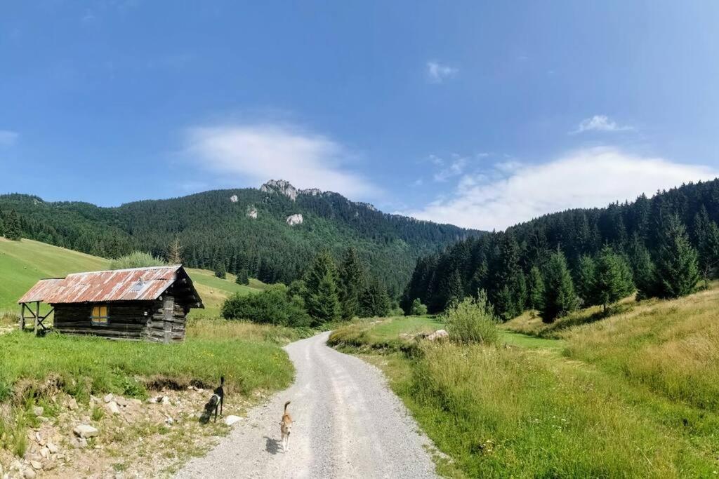 Drevenica Harmony Βίλα Ruzomberok Εξωτερικό φωτογραφία
