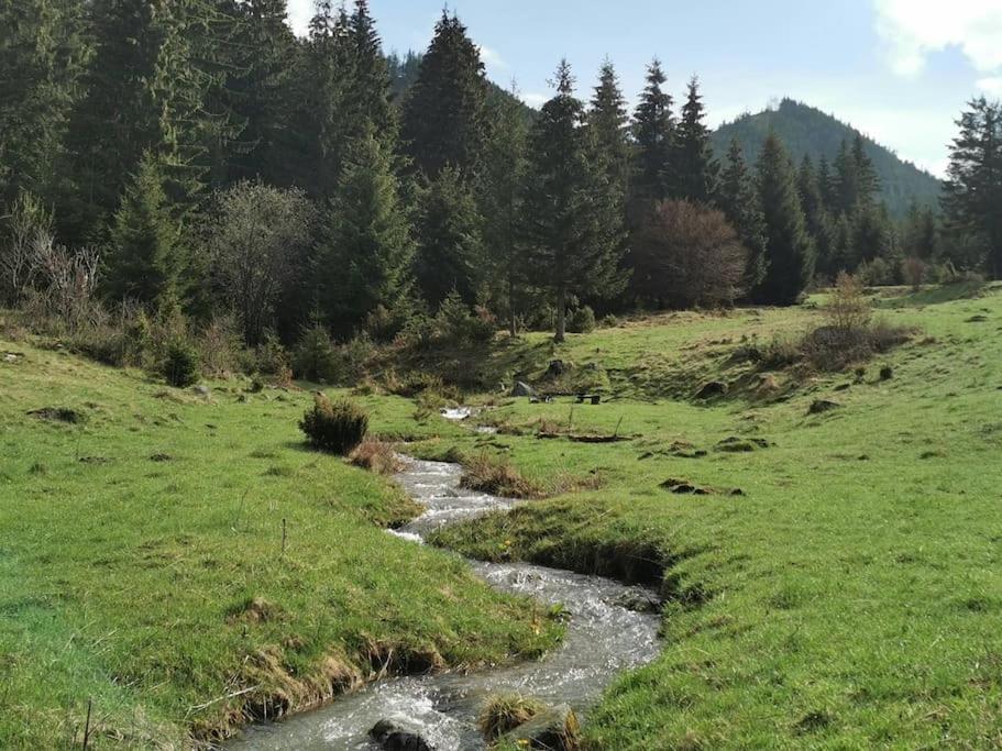 Drevenica Harmony Βίλα Ruzomberok Εξωτερικό φωτογραφία